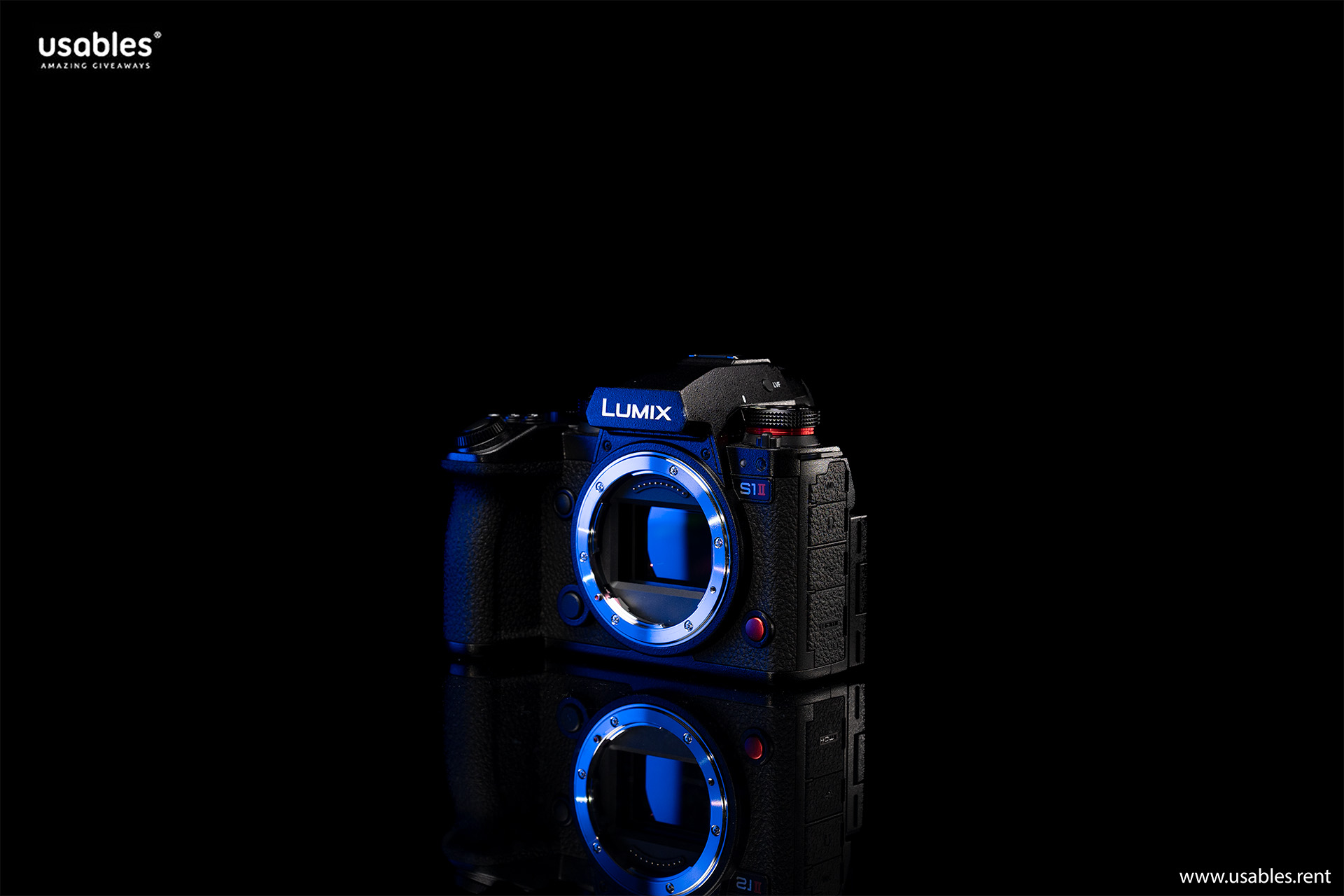 Panasonic LUMIX S1II + Blazar Beetle Anamorphic